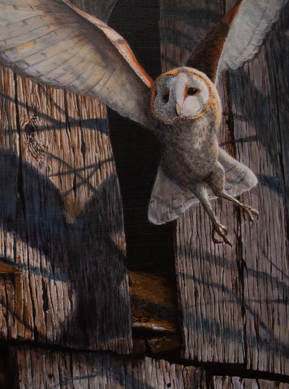 Moon Shadow, 2023 close up