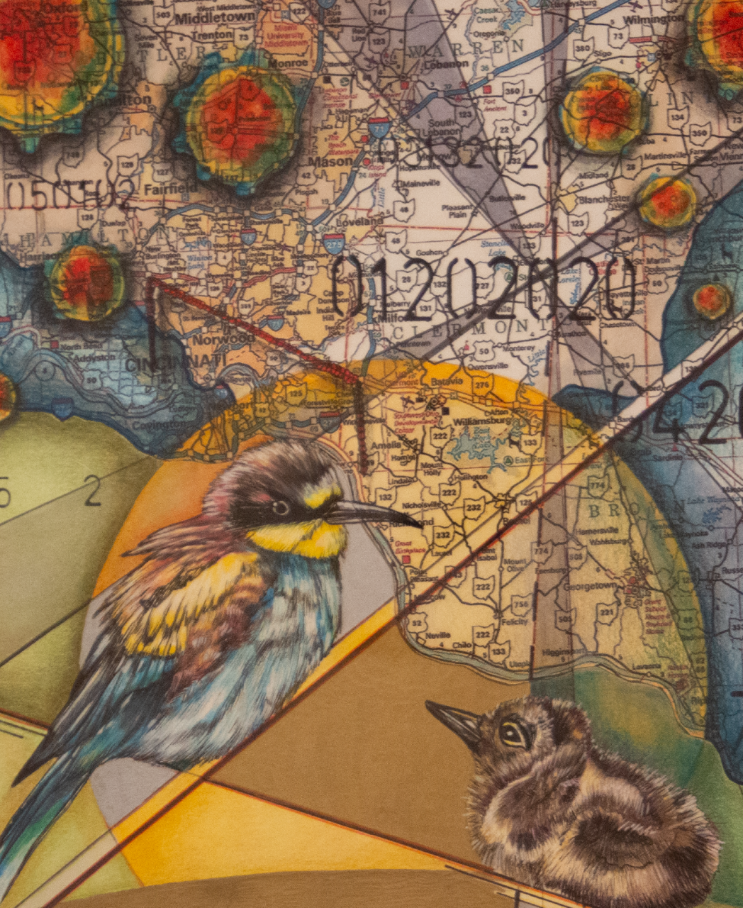 Pandemic Nexus, 2020 close up