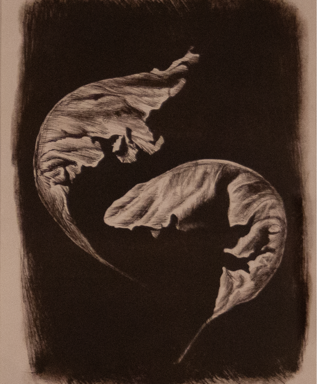 Face, 2021, close up